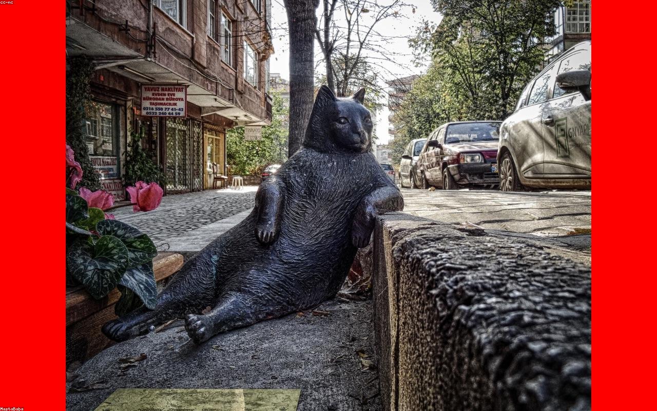 Lüfer avı